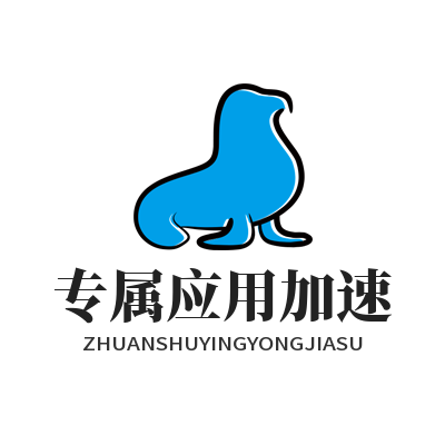 快联VPN专属应用加速