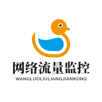 快联VPN网络流量监控