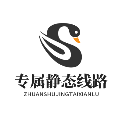 快联VPN 专属静态线路