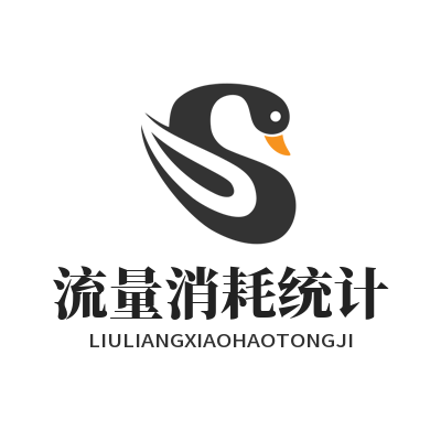 快联VPN 流量消耗统计