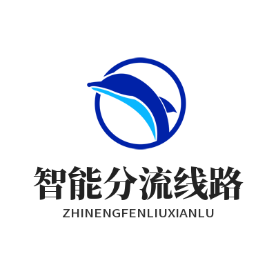 快联VPN 智能分流线路